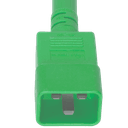 Plug (Male) : IEC 60320 C20 Color : Green