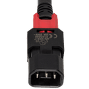 zLock Power Cord, Locking C14 to Locking C13, 17AWG x 0.6Meter, BLACK